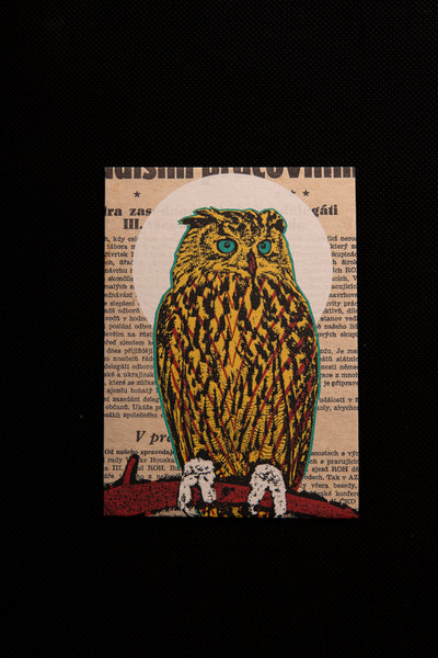 STAY OWL- postcard - originální pohlednice Medium