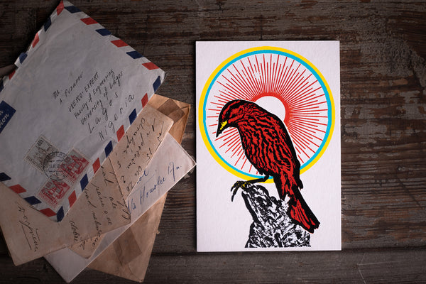 Sunbird - postcard - originální pohlednice medium