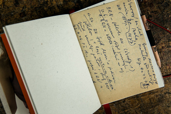 Musician Frankie - mini notebook originální zápisník